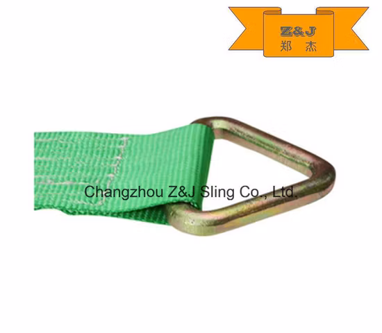 Winch Strap with Delta Ring and Edge Protector 4 Inch Customed