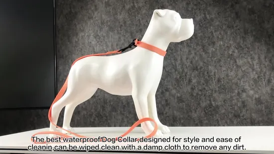 Hanyang Individual Packaging Polyester Customized Professional Supplier Leash Custom Pattern Dog Accessories Pet Products