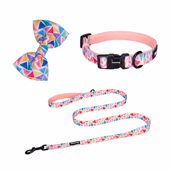 Hanyang Individual Packaging Polyester Customized Professional Supplier Leash Custom Pattern Dog Accessories Pet Products